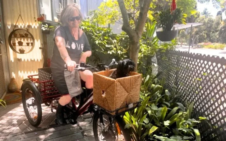 A woman on a trike with a dog in a basket attached to the trike