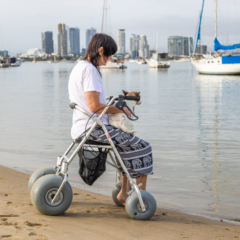 "A woman is seated on a walker with large wheels on a sandy beach, holding a small dog in her lap. She is wearing a white shirt and patterned pants. In the background, there are several boats docked in the water and a cityscape with tall buildings under a cloudy sky."